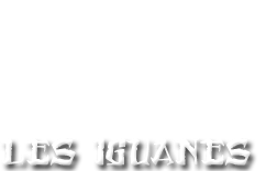 Iguane