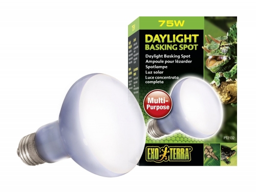 Ampoule pour lézarder à placer dans le basking spot de votre terrarium pour iguane