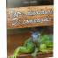 Votre dinosaure de compagnie