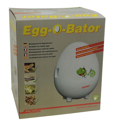 Incubateur pour oeufs d'iguane et de reptiles - Lucky Reptiles