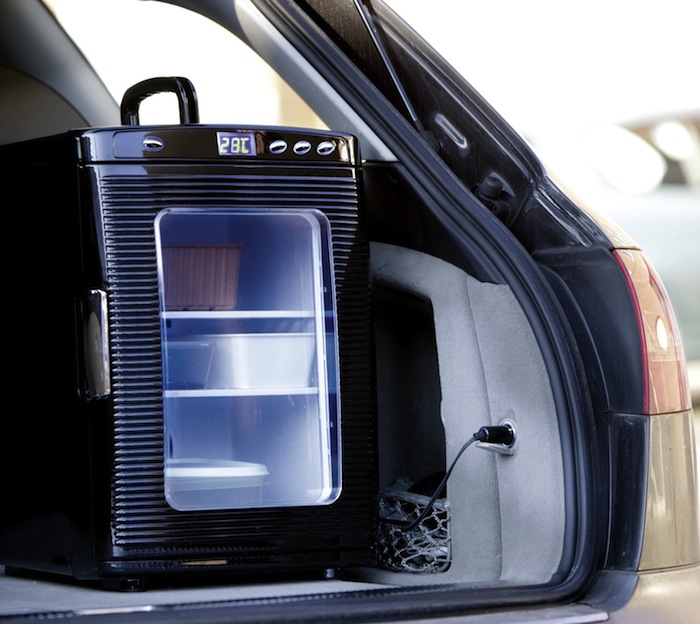 Facilement transportable, l'incubateur PT2499 d'Exo Terra tient dans le coffre d'une voiture